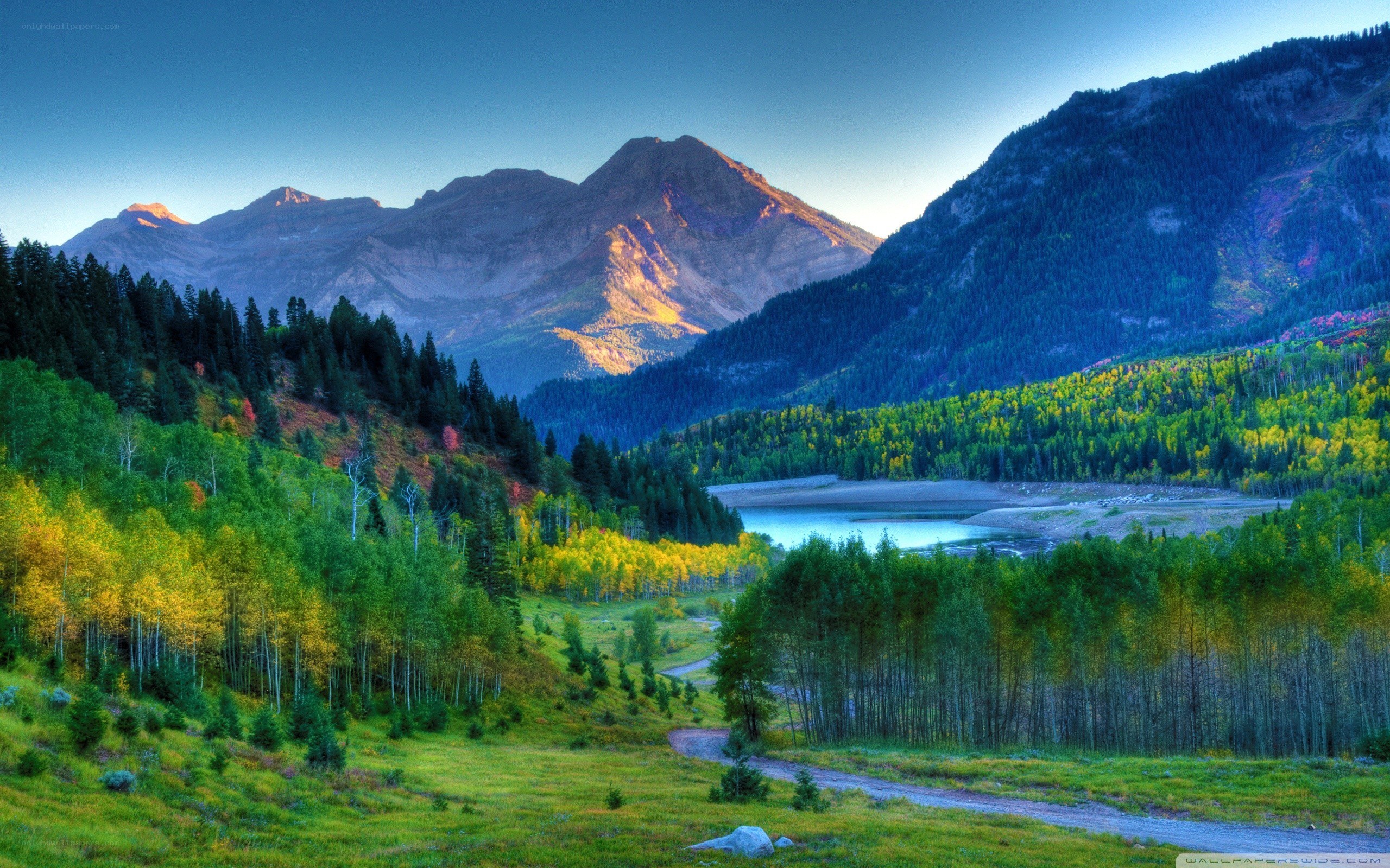 Mountain valley with autumn trees
