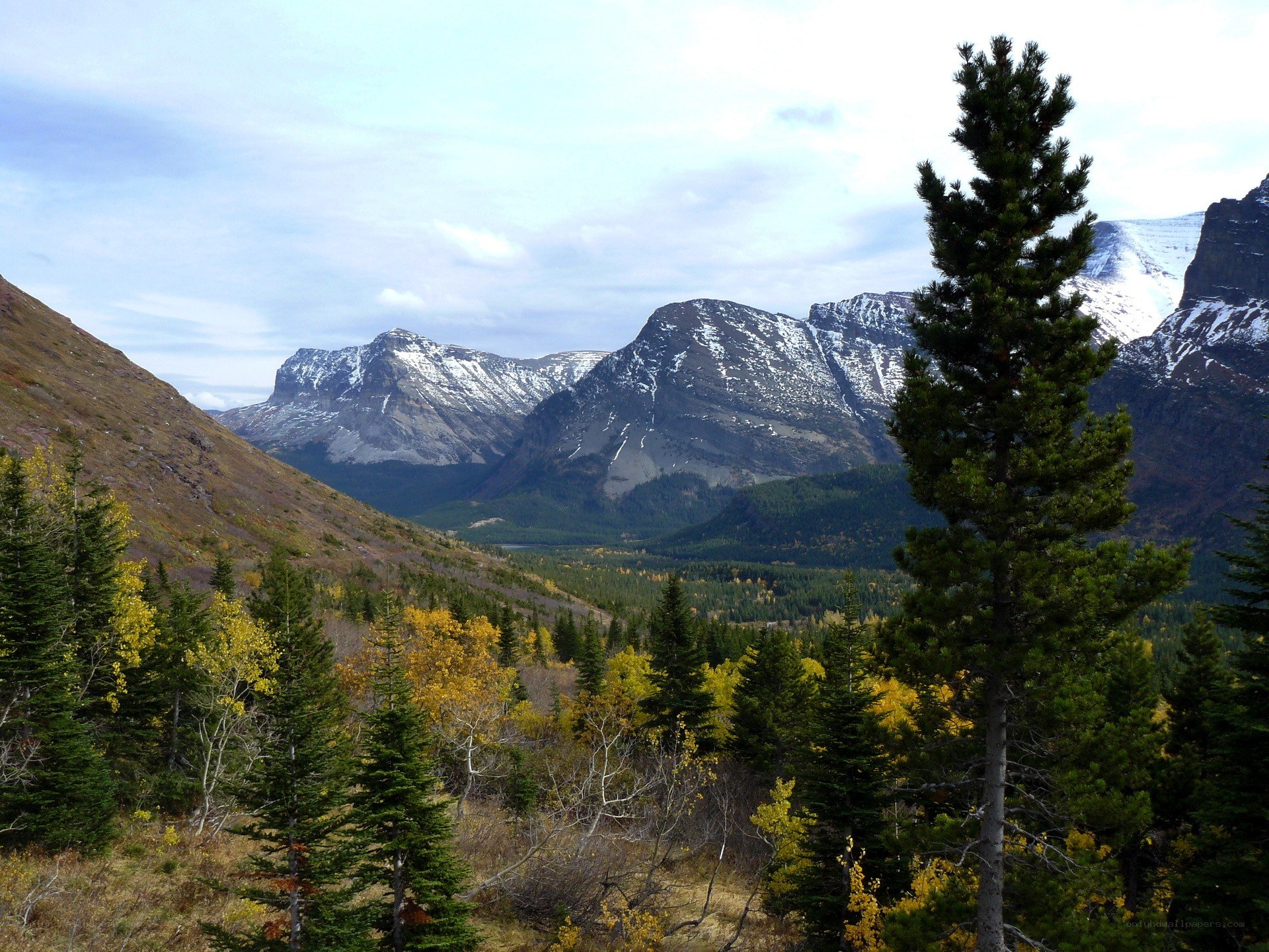 Mountain valley with autumn trees