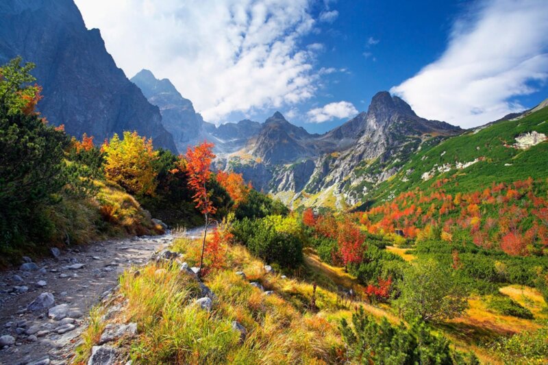 Mountain Valley with Autumn Trees — Blue, Serene, Photograph