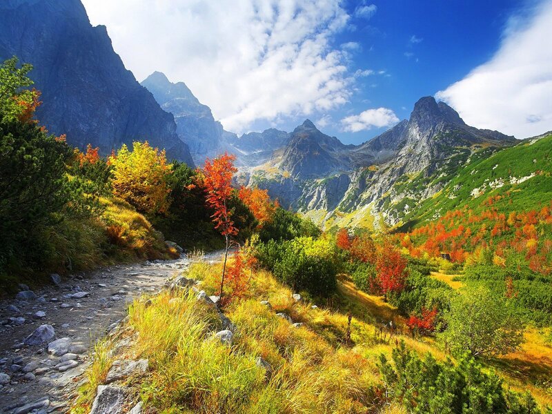 Mountain Valley with Autumn Trees — Blue, Serene