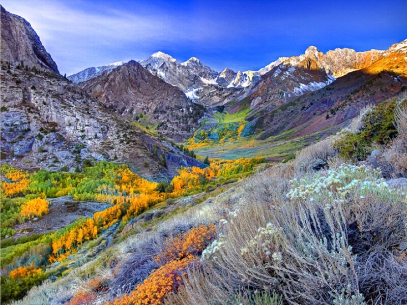 Mountain Valley with Autumn Trees — Blue