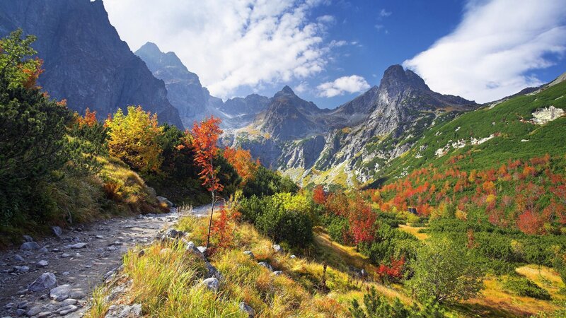 Mountain Valley with Autumn Trees — Green, Serene, Photograph, Path, Mountains, Sky, Red