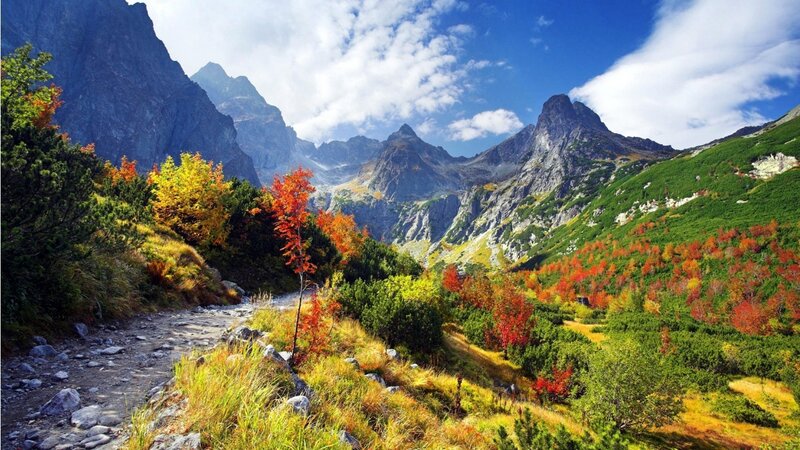 Mountain Valley with Autumn Trees — Green, Serene