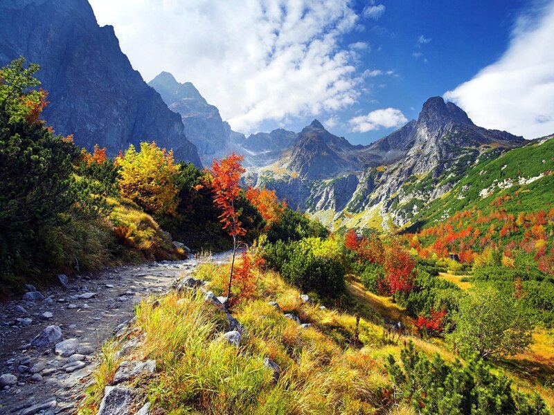 Mountain Valley with Autumn Trees — Green