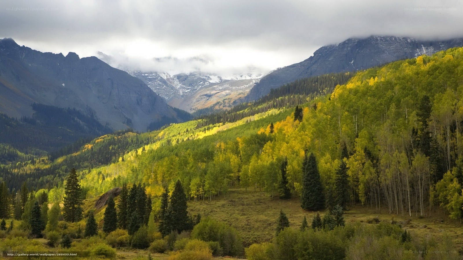 Mountain valley with autumn trees