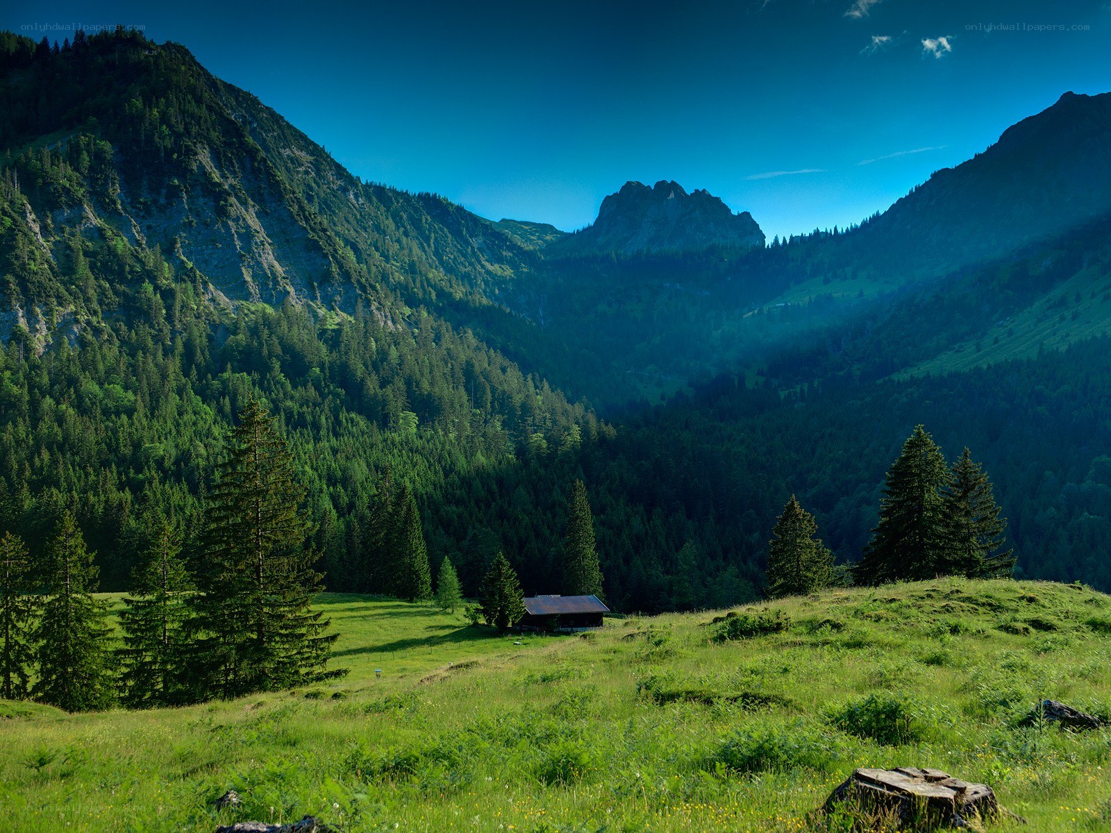 Mountain valley with cabin