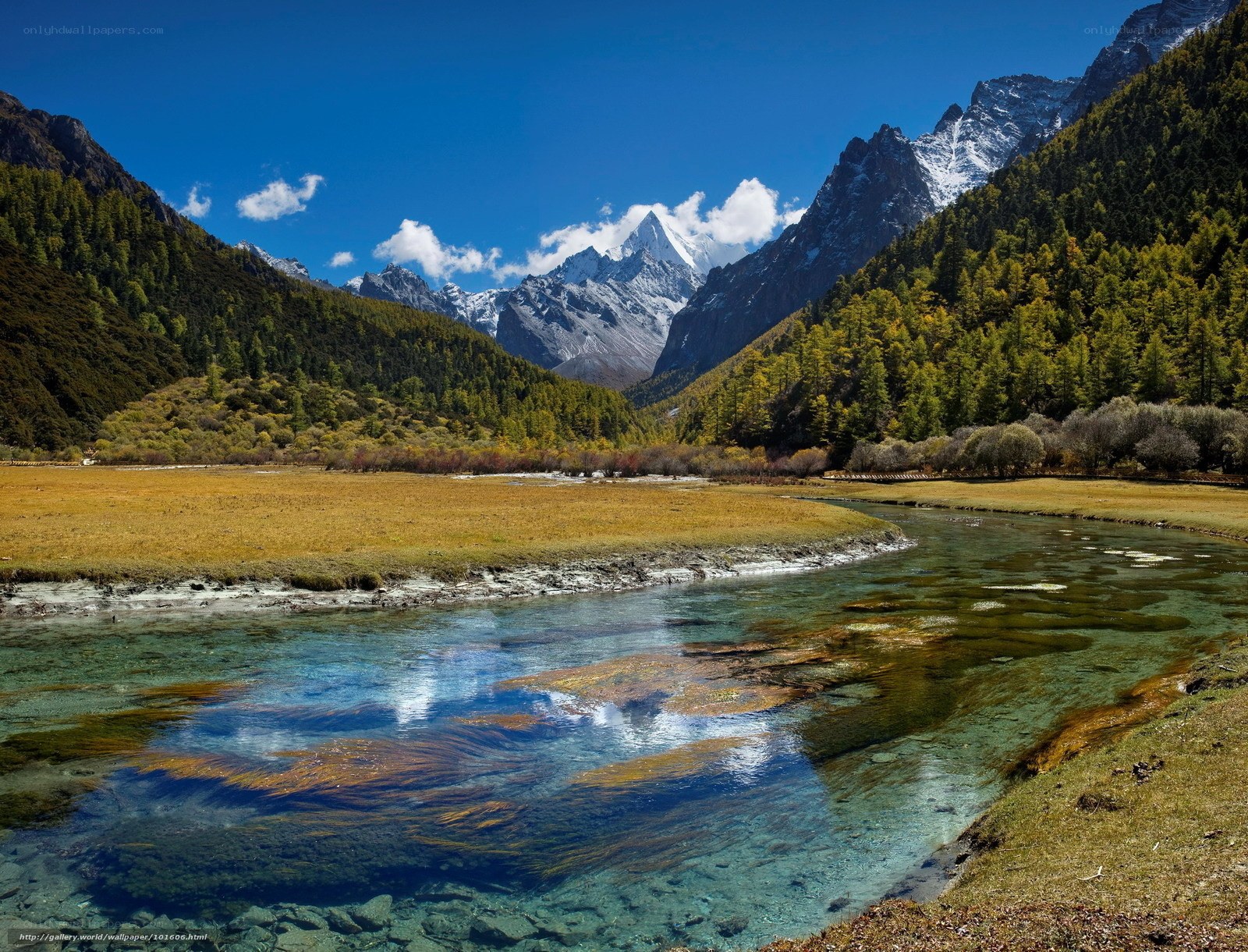Mountain valley with clear stream