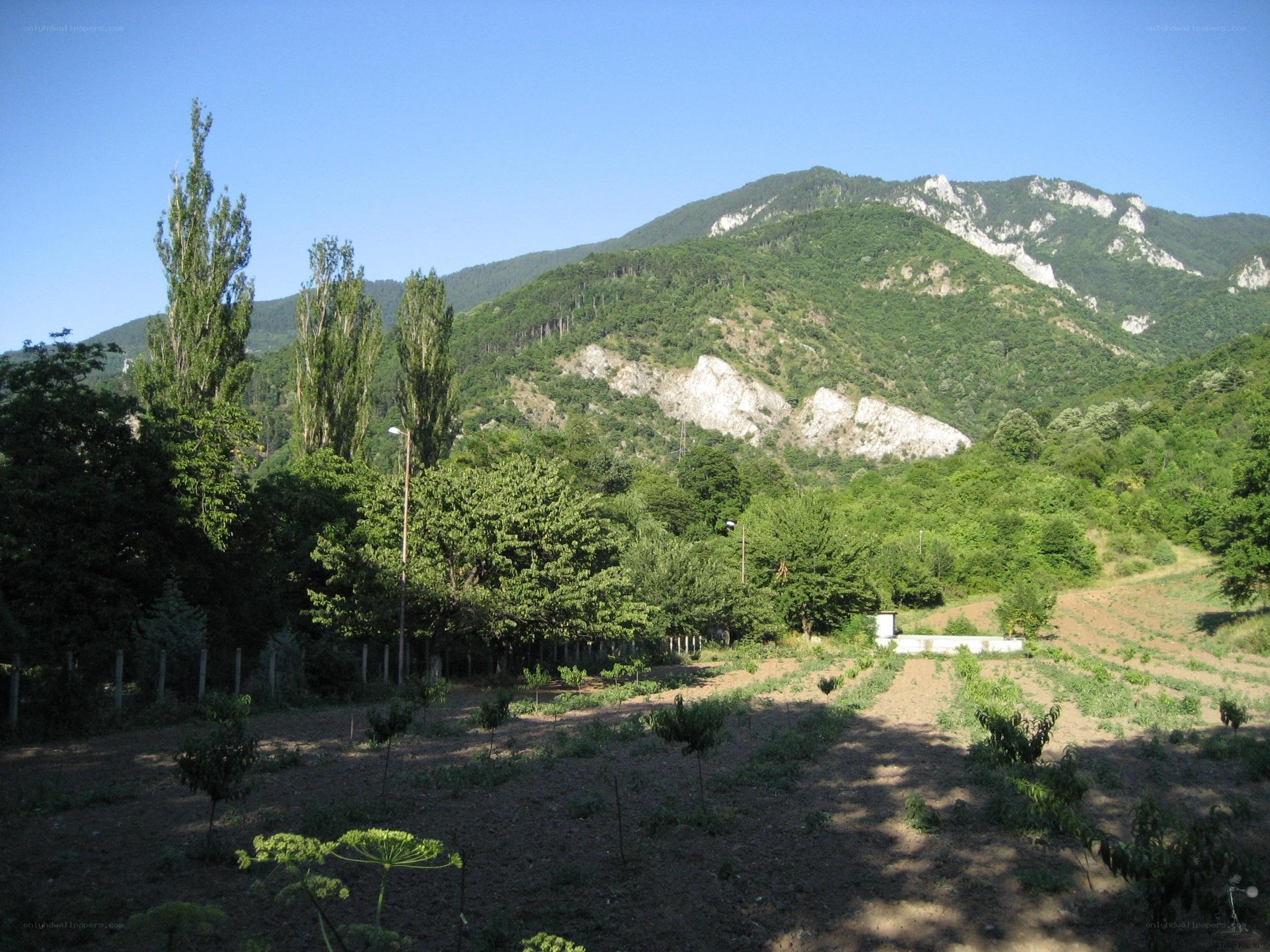 Mountain valley with cultivated land