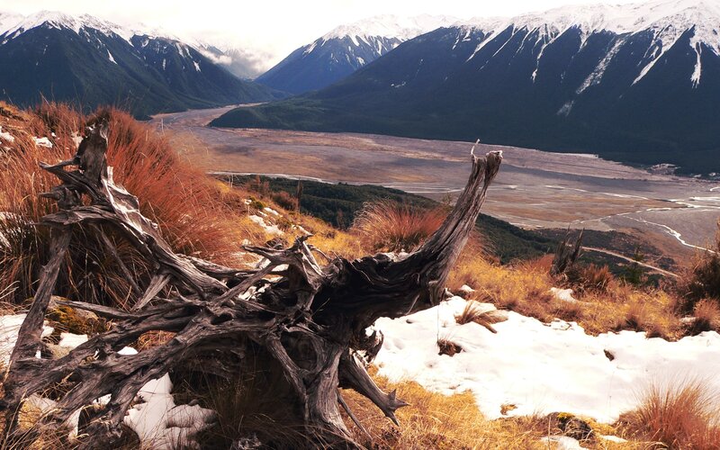 mountain valley with driftwood