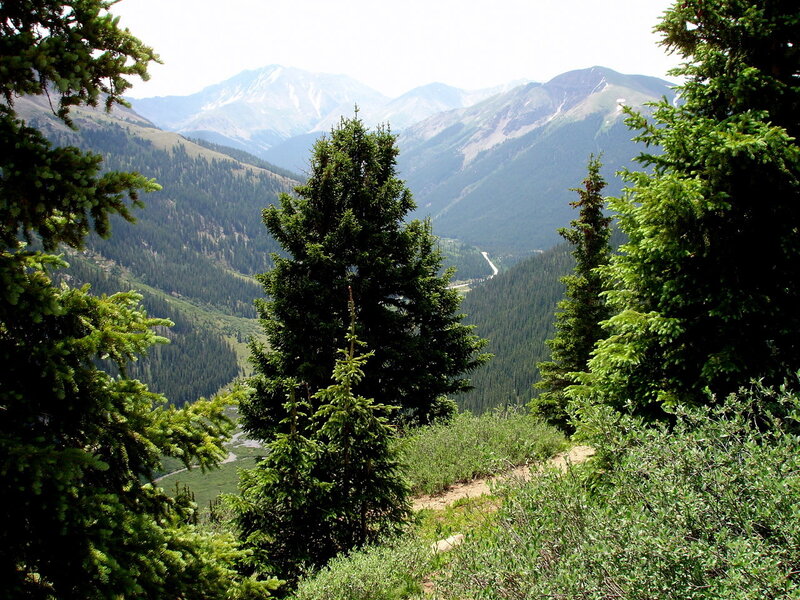 Mountain valley with evergreen trees