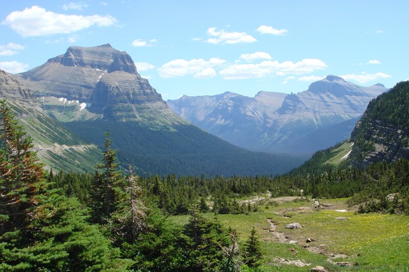 mountain valley with evergreen trees