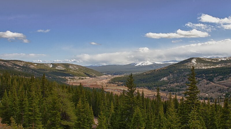 mountain valley with evergreen trees