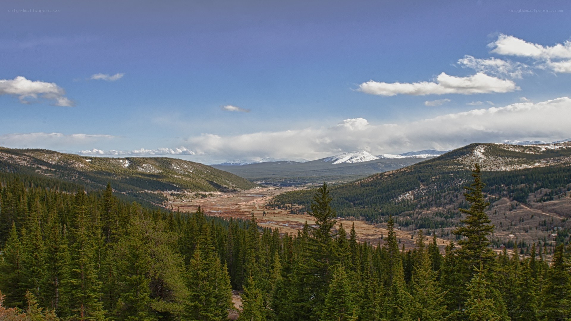 mountain valley with evergreen trees