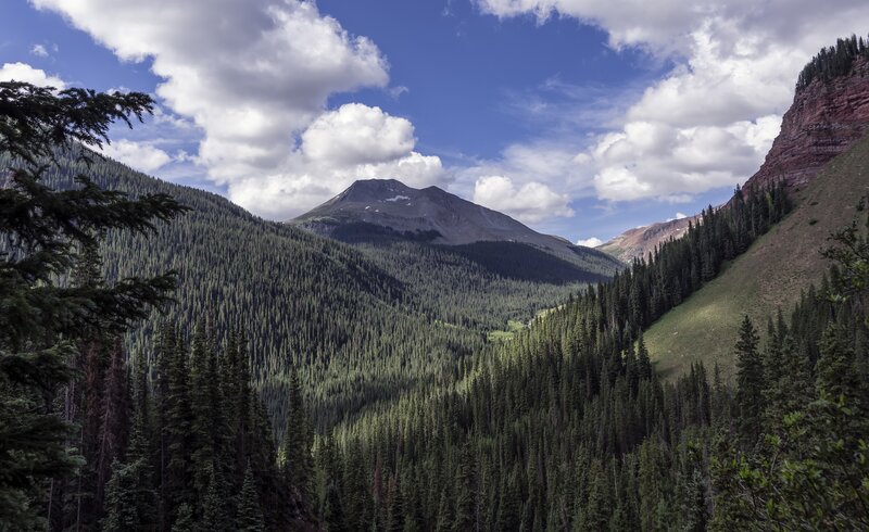 Mountain Valley with Evergreens