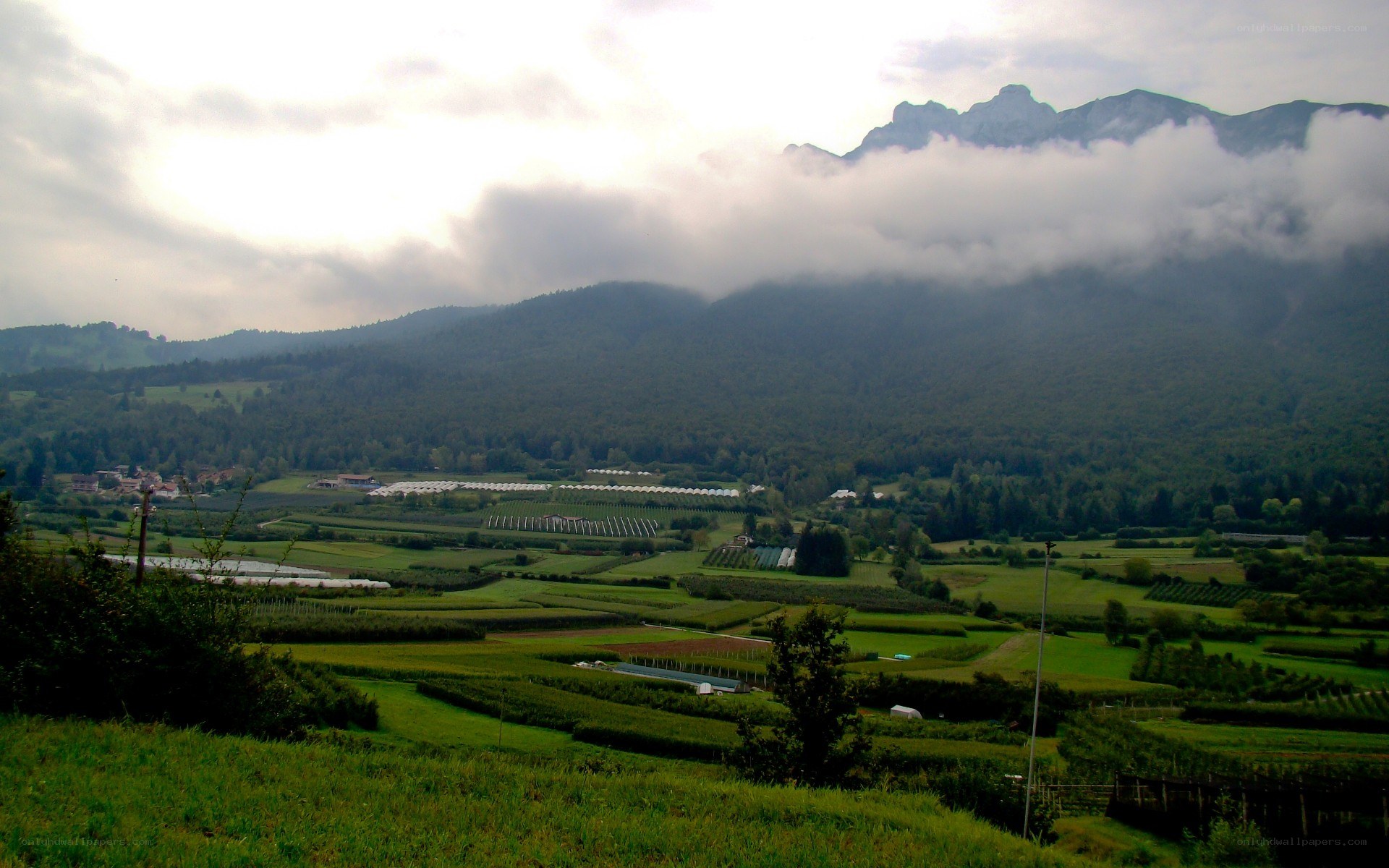 mountain valley with farms
