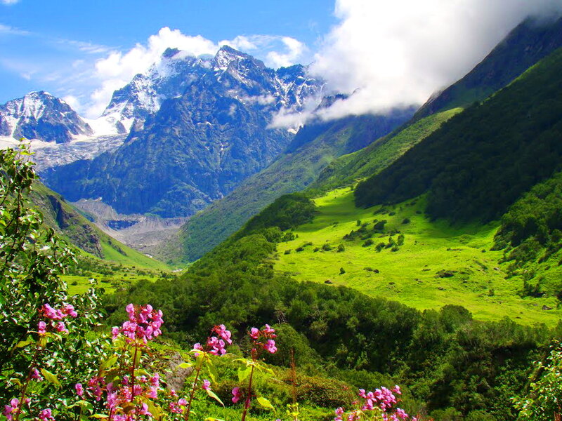 Mountain Valley with Flowers — Green, Serene, Afternoon, Photograph