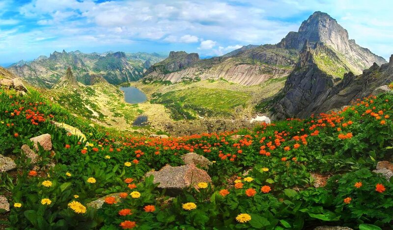 Mountain Valley with Flowers — Green, Serene, Summer, Photograph
