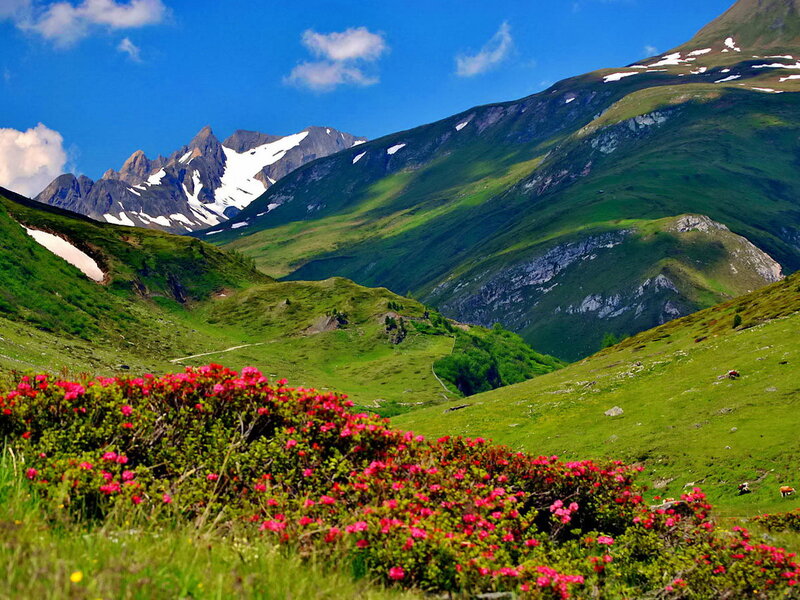 Mountain Valley with Flowers — Green, Serene, Summer