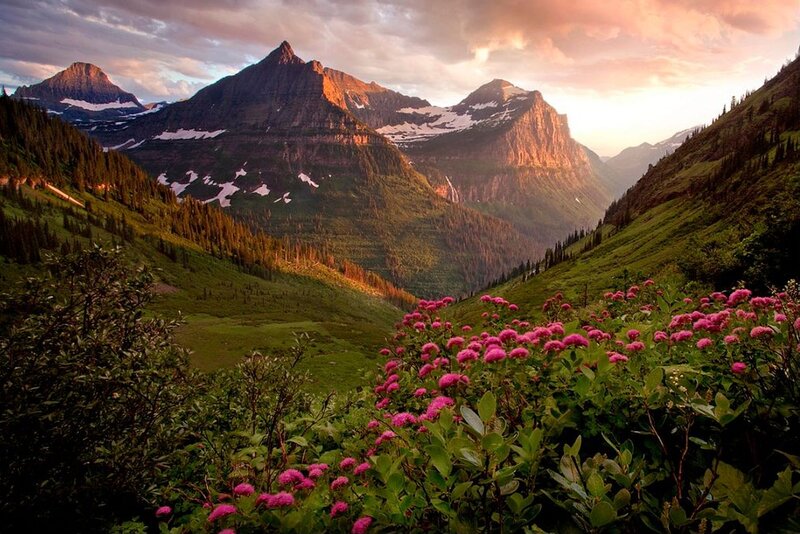 Mountain Valley with Flowers — Green, Serene, Sunset