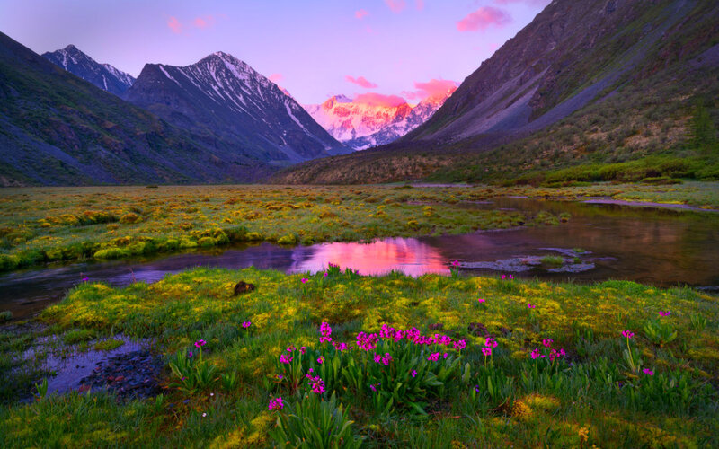Mountain Valley with Flowers — Purple, Serene, Sunset