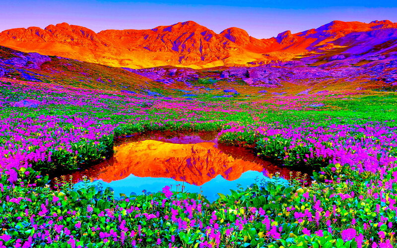 Mountain Valley with Flowers — Purple