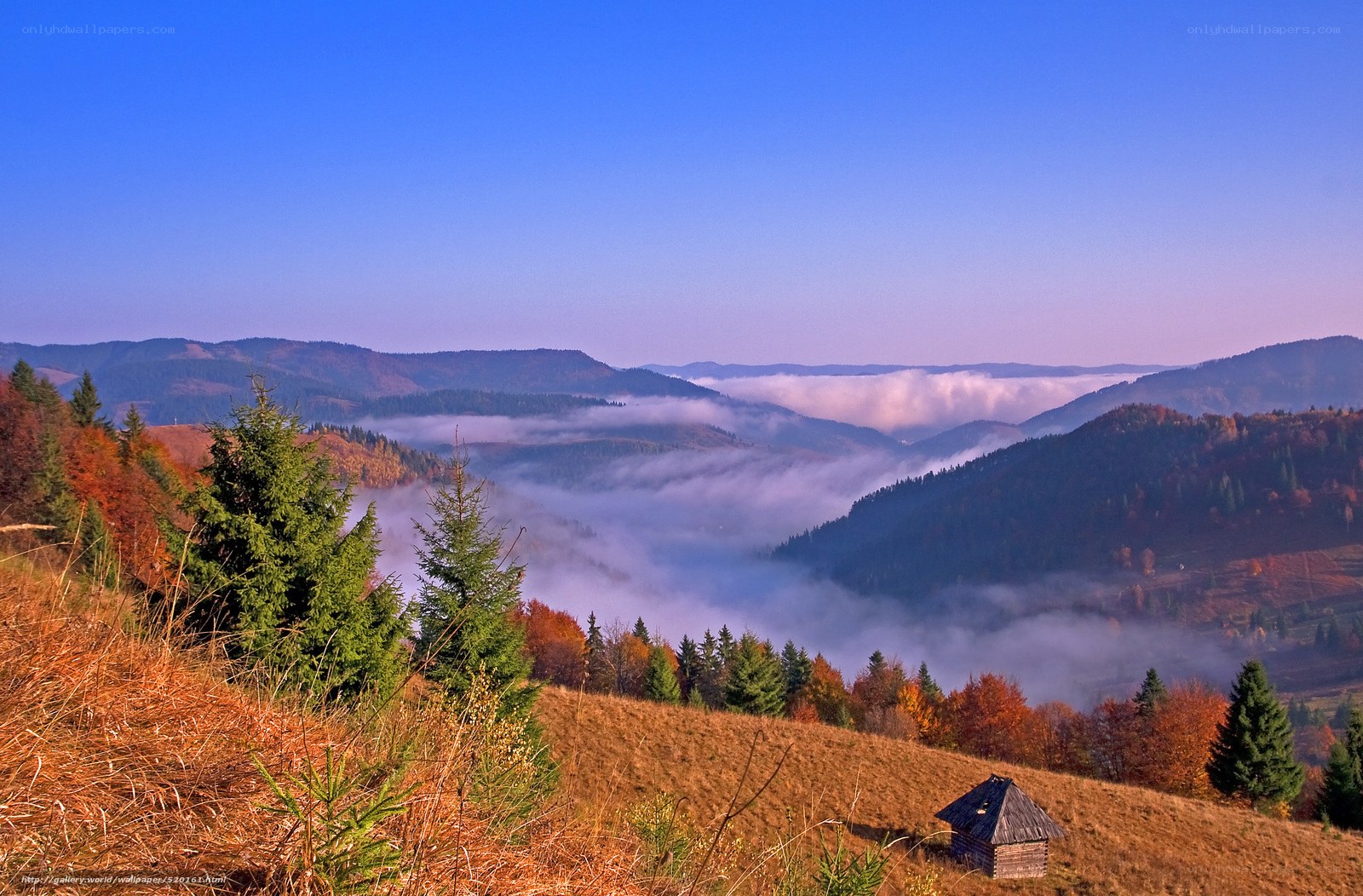 Mountain valley with fog