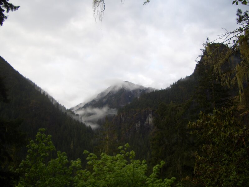 mountain valley with fog
