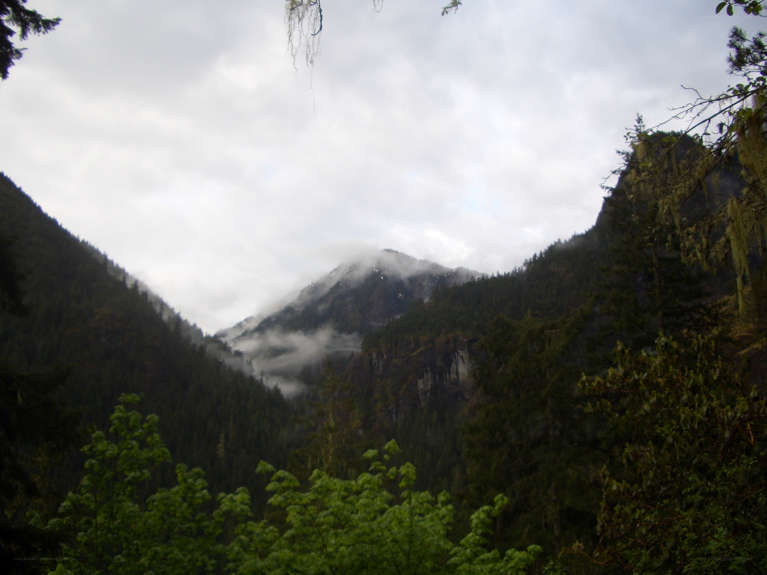 mountain valley with fog
