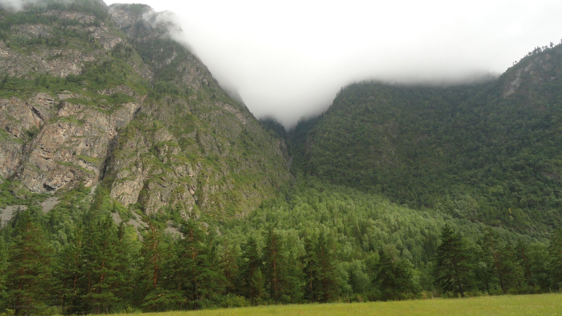 Mountain valley with fog