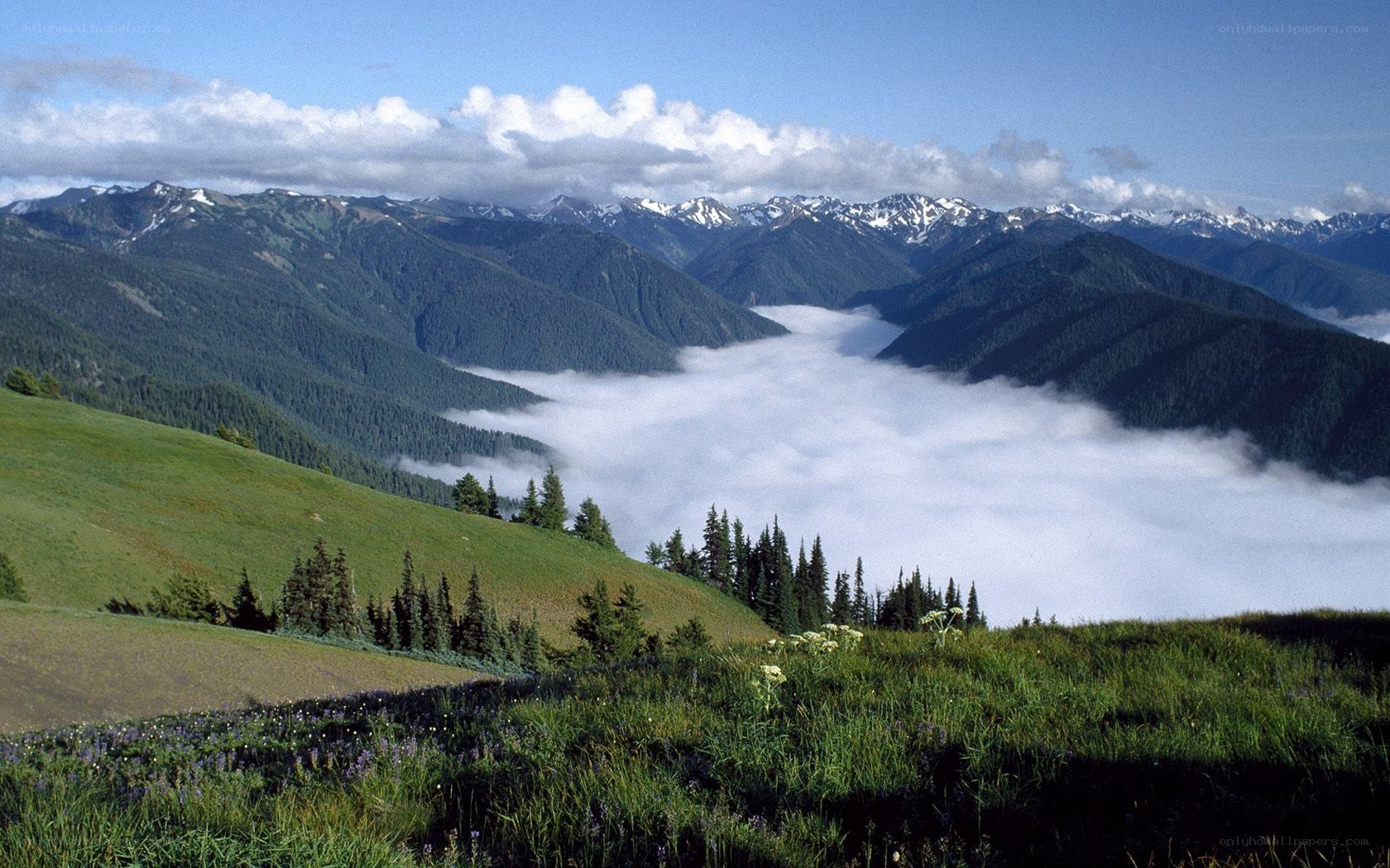 Mountain valley with fog