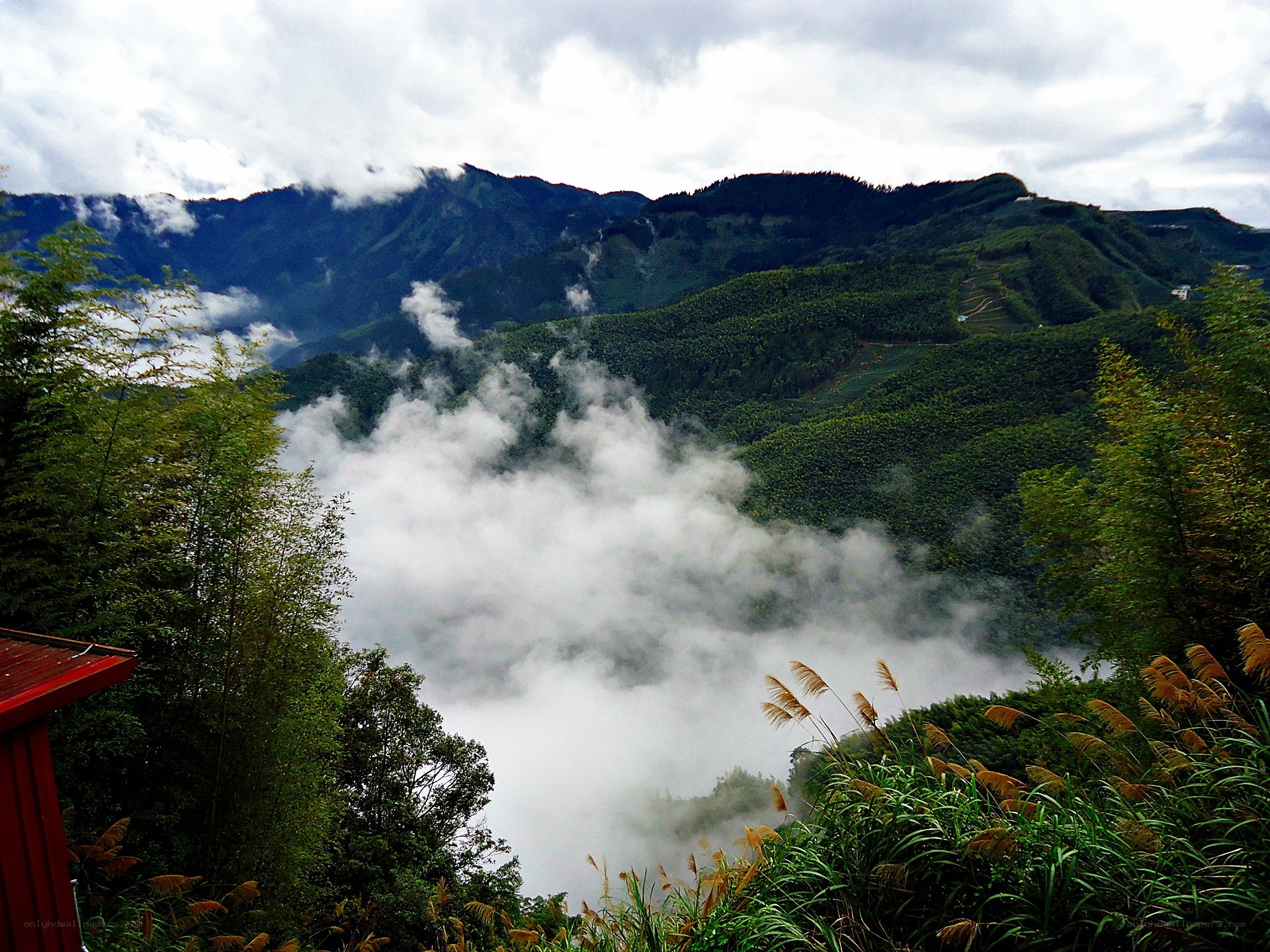 Mountain valley with fog