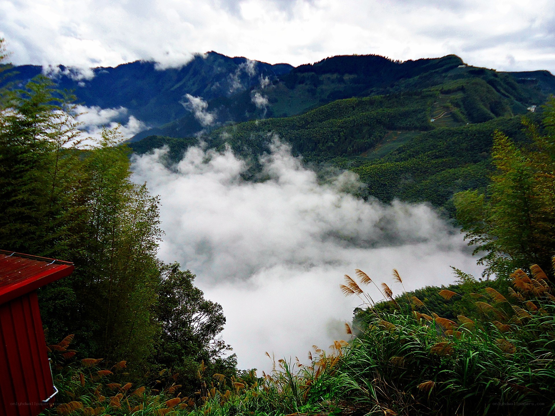 Mountain valley with fog