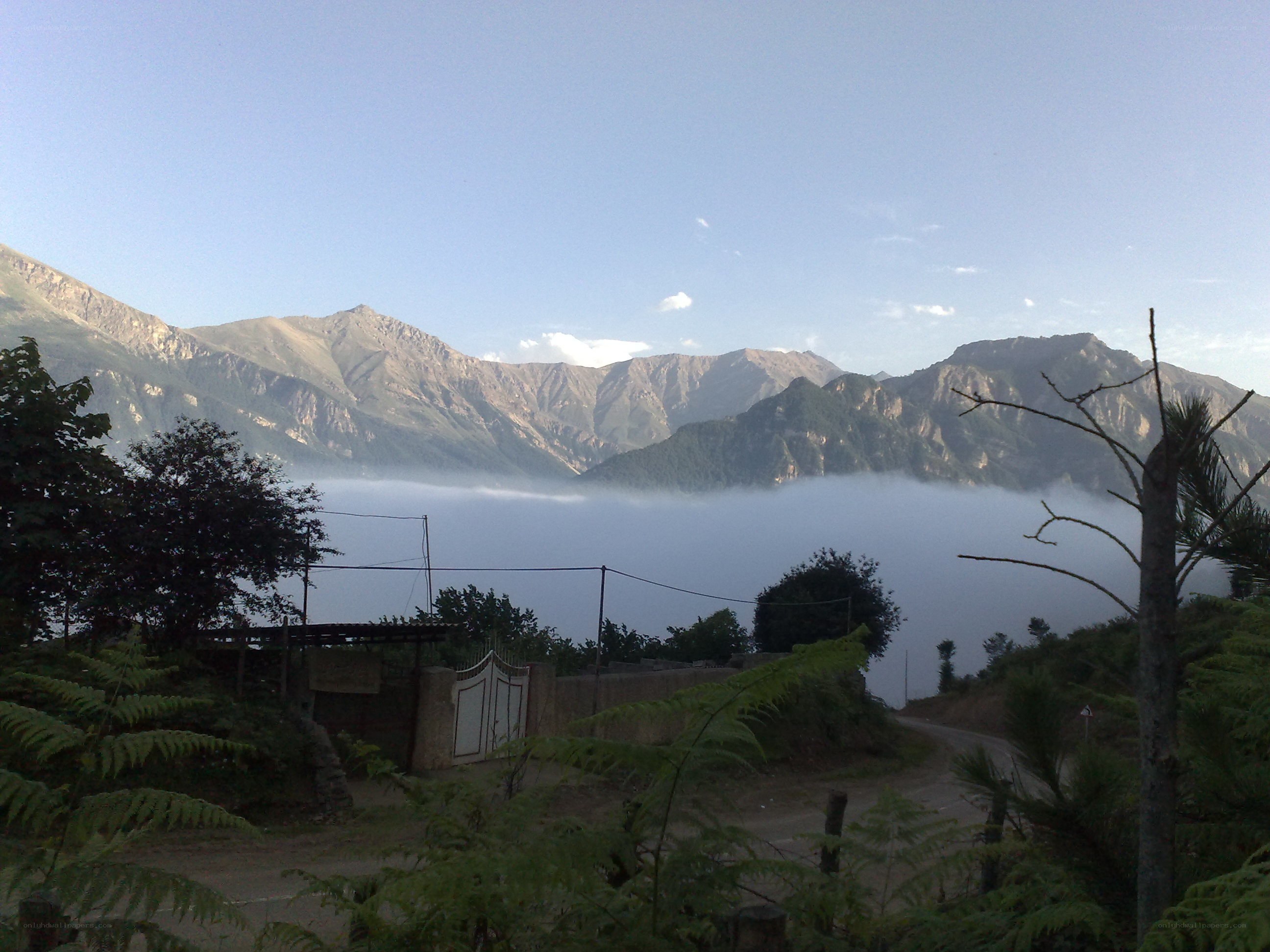 Mountain valley with fog