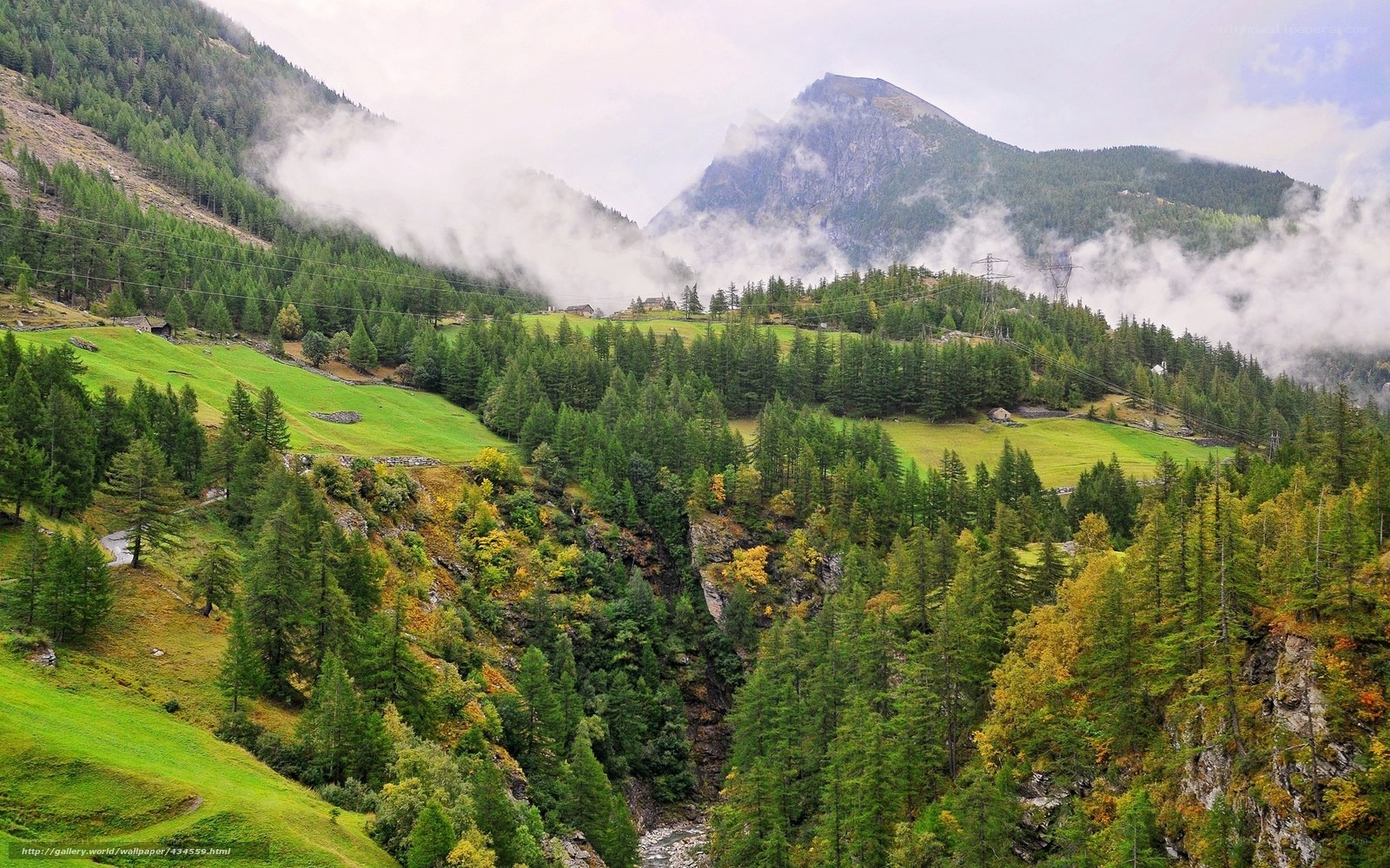 Mountain valley with fog and forest