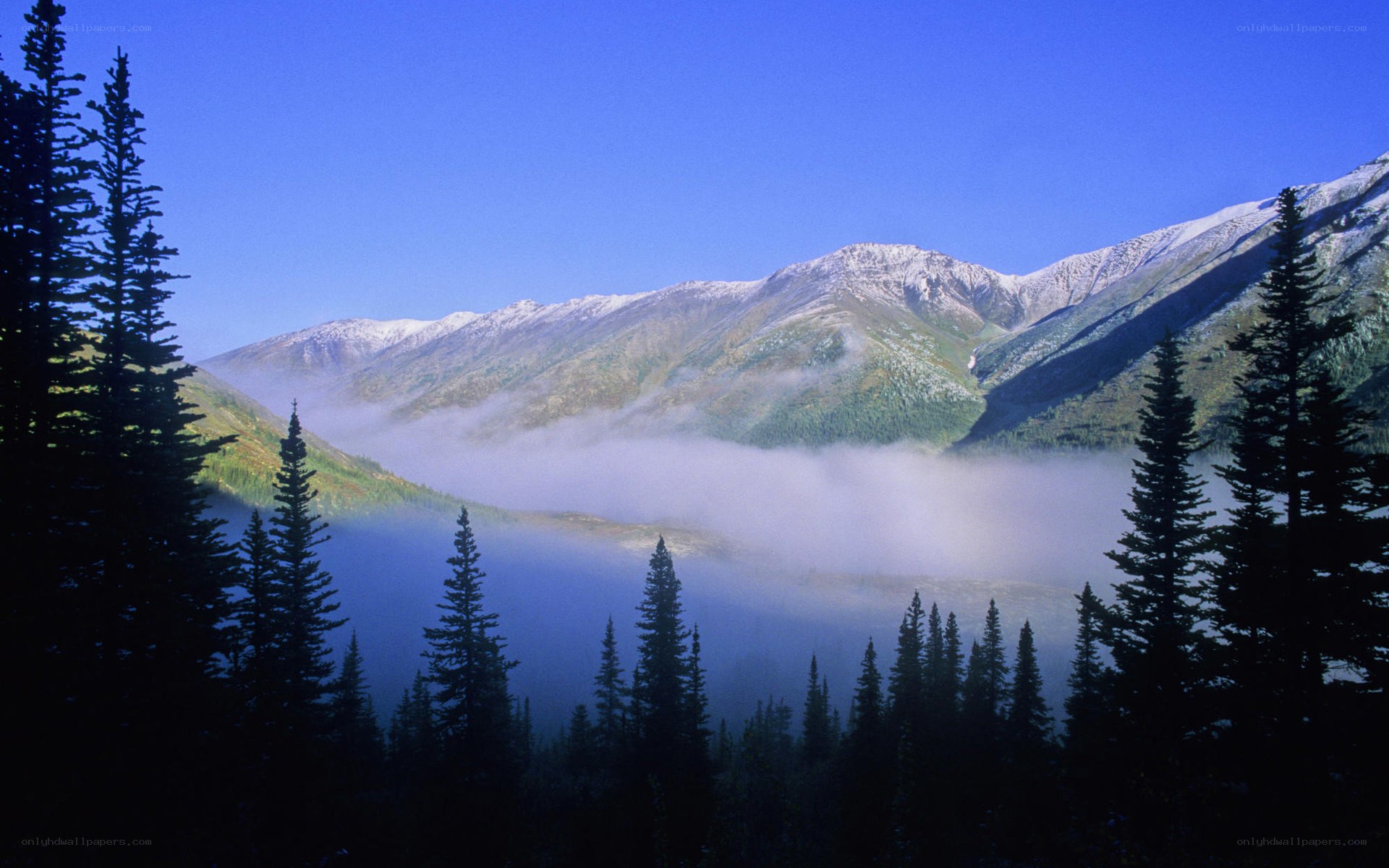Mountain valley with fog and snow