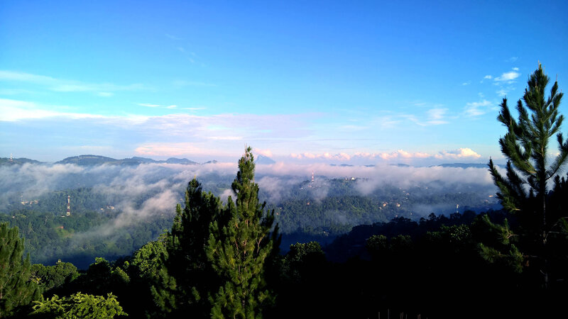 Mountain Valley with Fog — Blue, Serene, Morning, Photograph, Trees