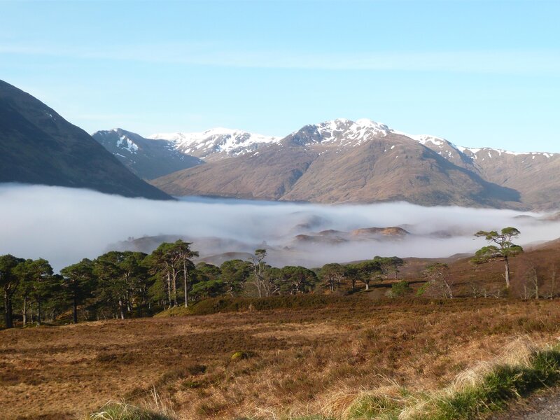 Mountain Valley with Fog — Brown