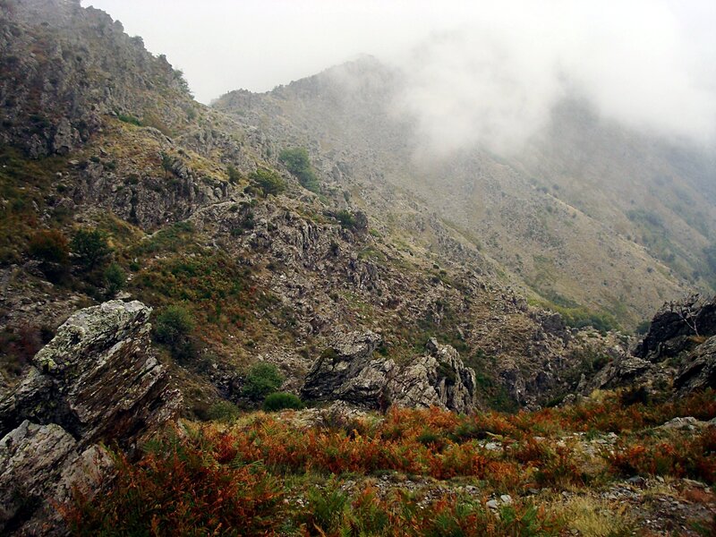Mountain Valley with Fog — Gray, Misty