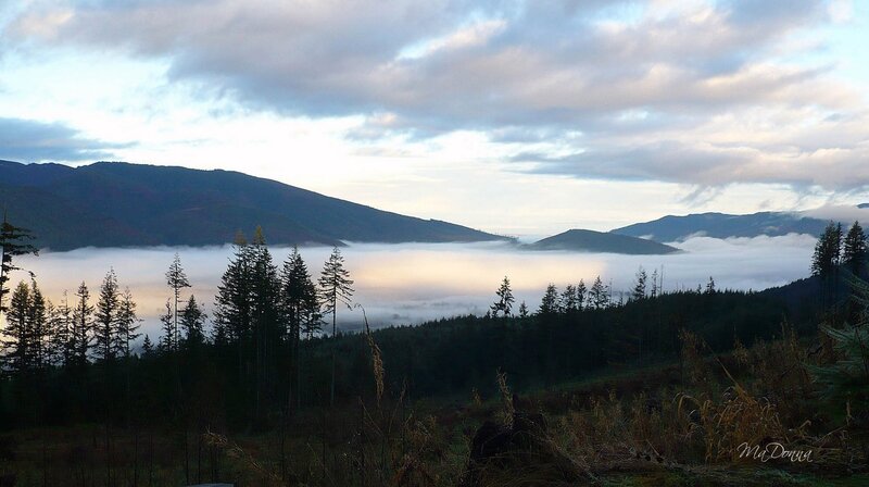 Mountain Valley with Fog — Gray