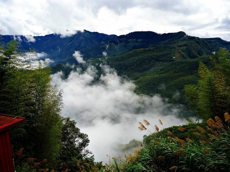Mountain Valley with Fog — Green, Misty, Morning, Photograph, Trees