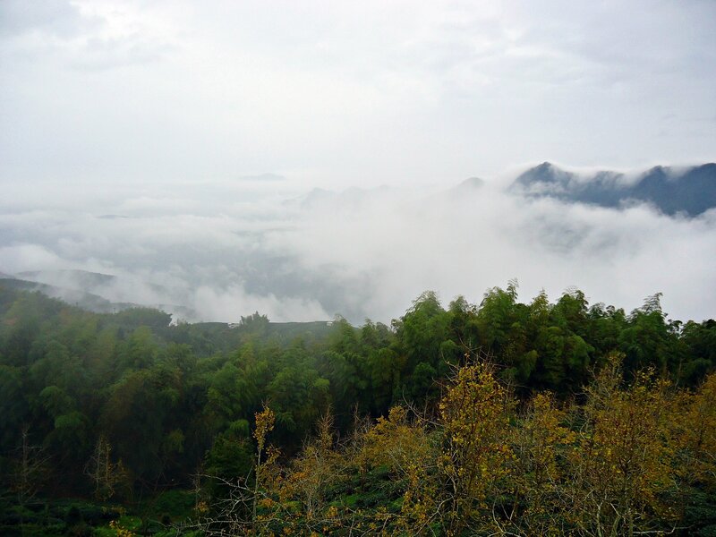 Mountain Valley with Fog — Green, Misty, Photograph, Trees, Mountains