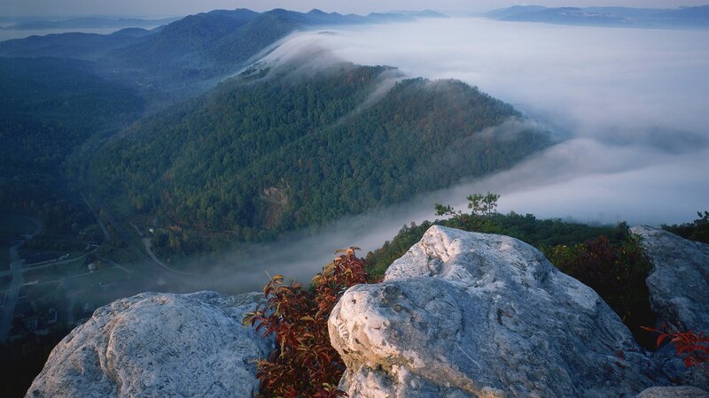 Mountain Valley with Fog — Green, Serene, Morning, Photograph, Forest