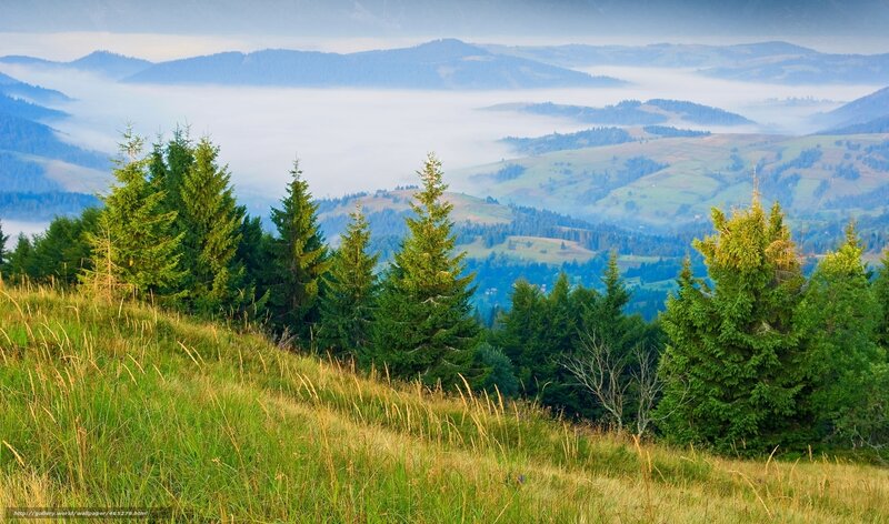 Mountain Valley with Fog — Green, Serene, Morning, Photograph
