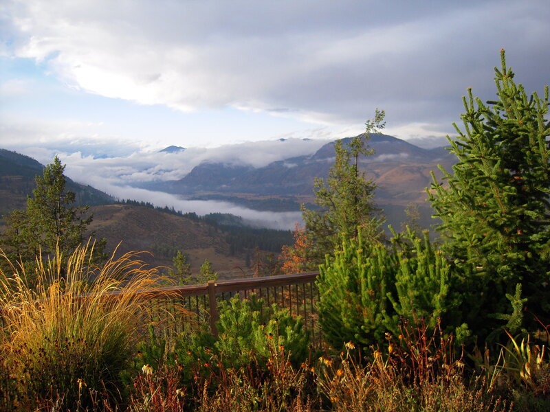 Mountain Valley with Fog — Green