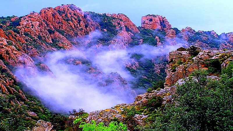 Mountain Valley with Fog — Purple