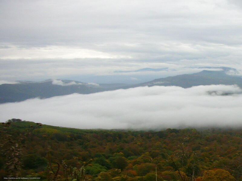 Mountain valley with fog