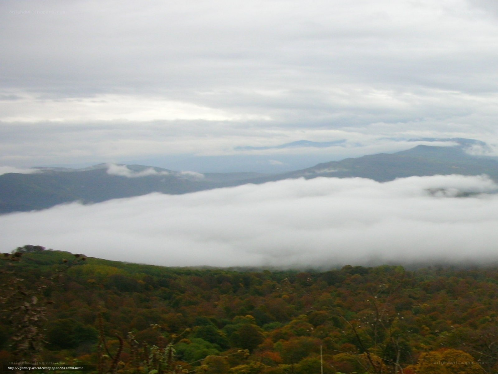 Mountain valley with fog