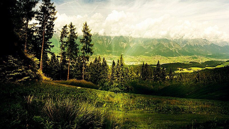 Mountain valley with forest