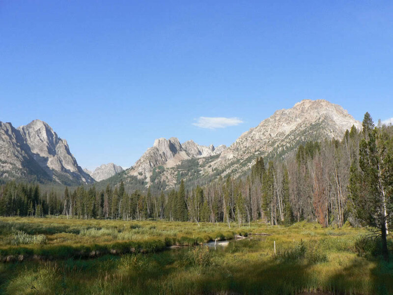 mountain valley with forest