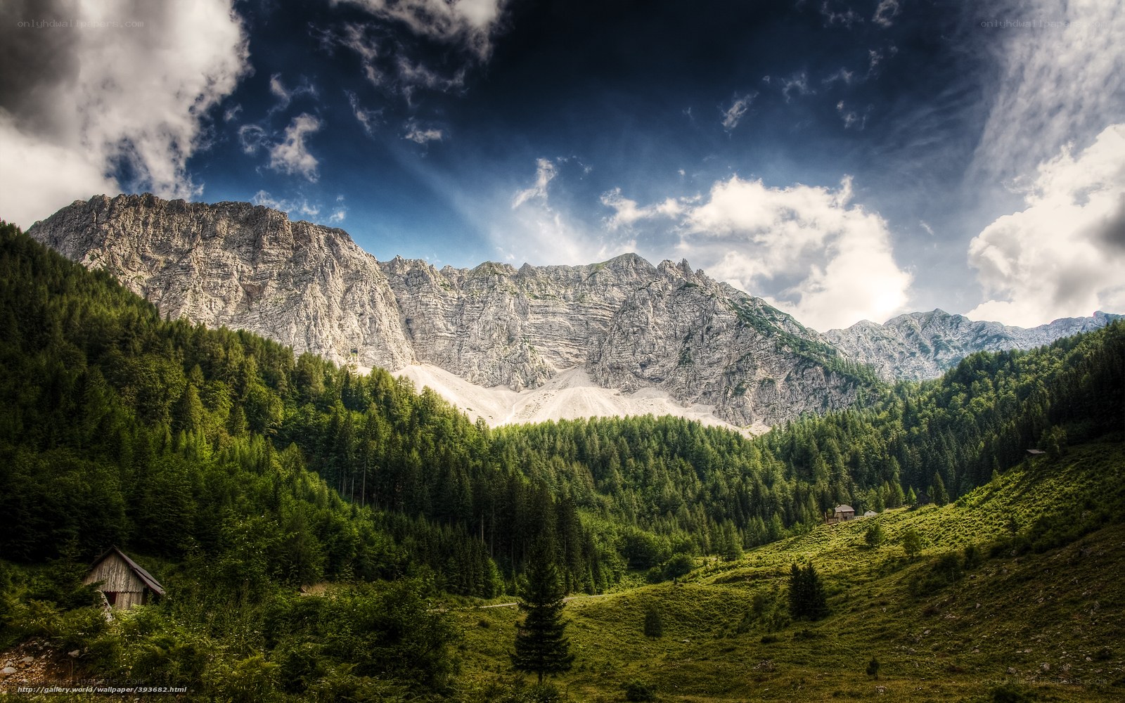 Mountain valley with forest and cabin